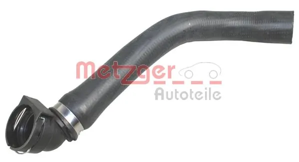 Radiator Hose 2420598