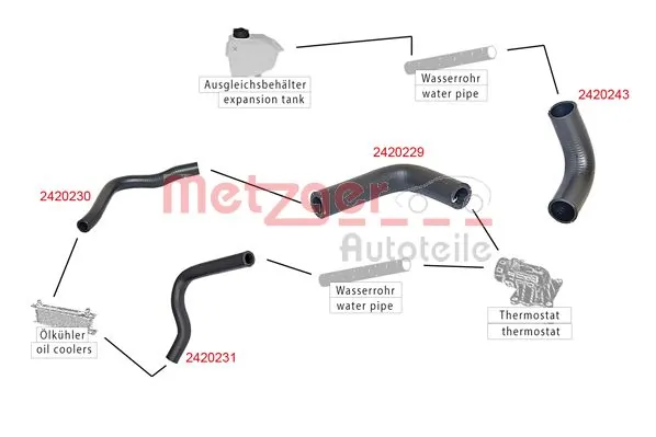 Radiator Hose 2420229