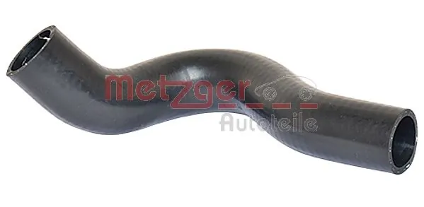 Radiator Hose 2420185