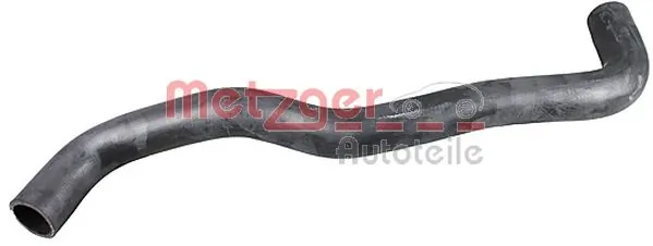 Radiator Hose 2421045