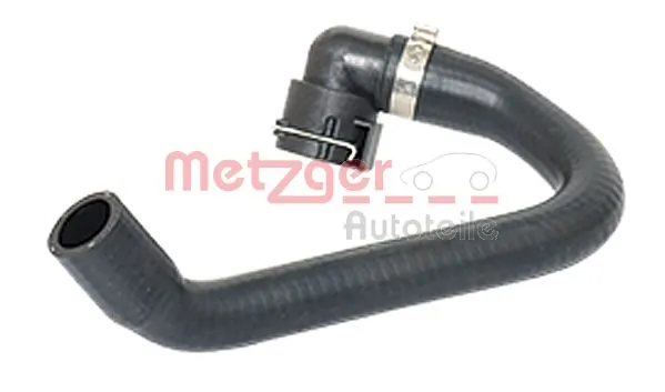 Radiator Hose 2420181