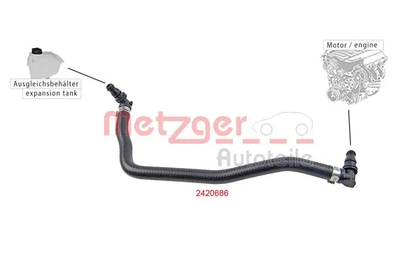 Radiator Hose 2420686
