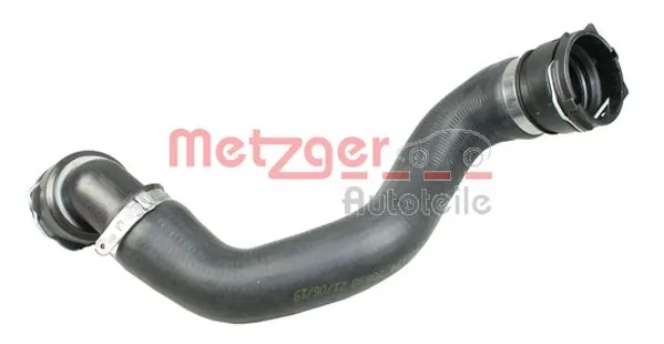 Radiator Hose 2422325