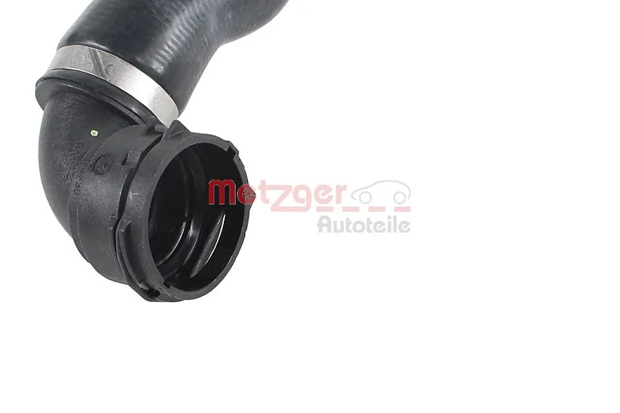 Radiator Hose 2421835