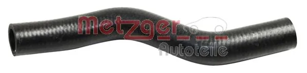 Radiator Hose 2420813