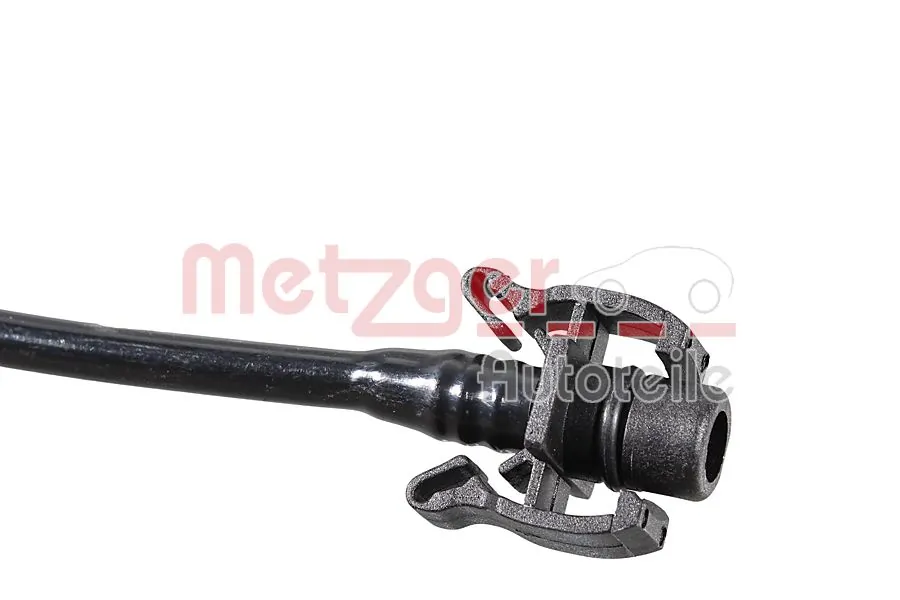 Radiator Hose 2421707