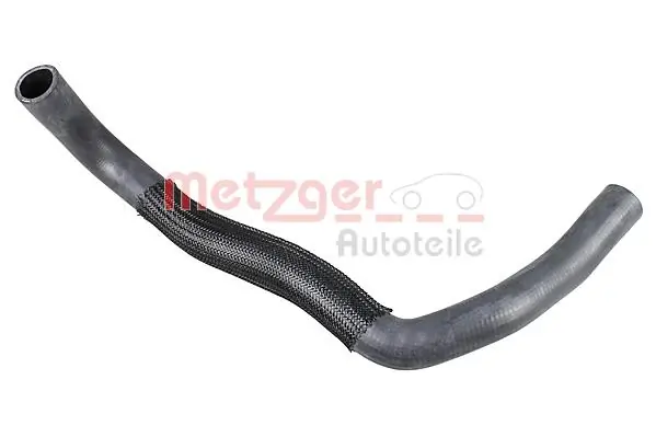 Radiator Hose 2420998