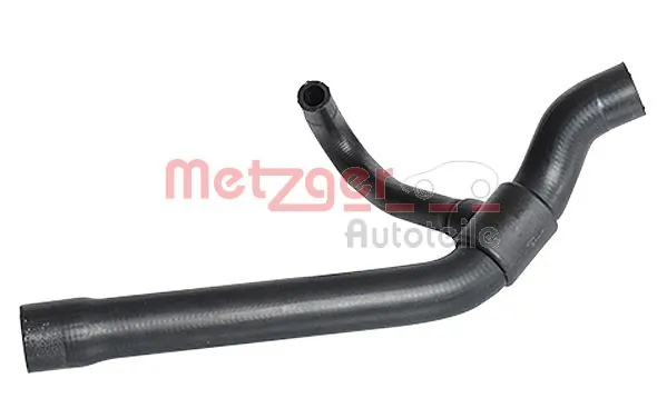 Radiator Hose 2420418