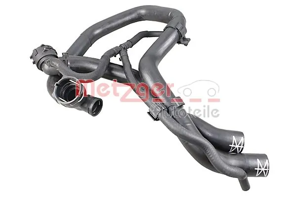 Radiator Hose 2421294