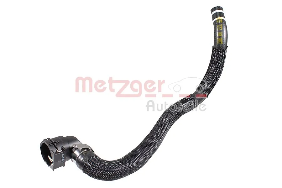 Radiator Hose 2421531