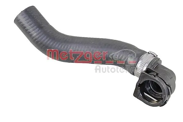 Radiator Hose 2420841