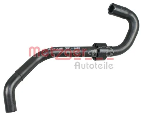 Radiator Hose 2420890