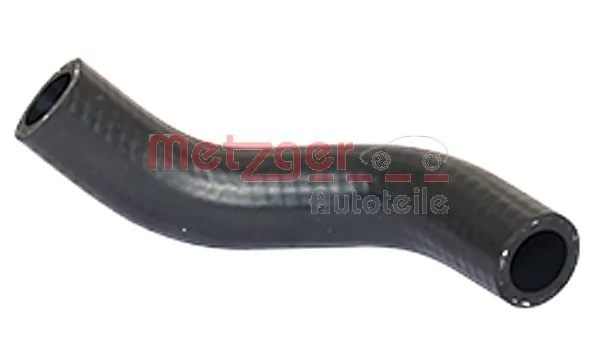 Radiator Hose 2420161