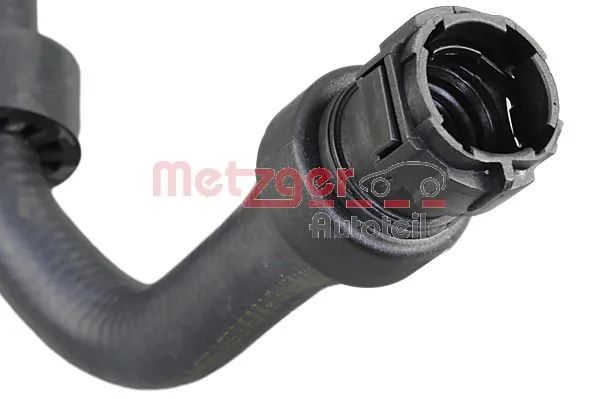 Radiator Hose 2421304