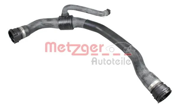 Radiator Hose 2420822