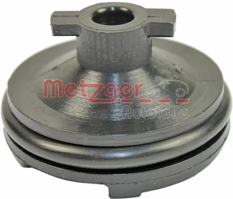 Screw Plug, oil sump 8030024