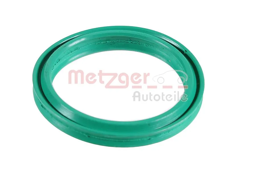 Seal Ring 2430077