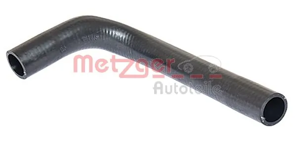 Radiator Hose 2420434