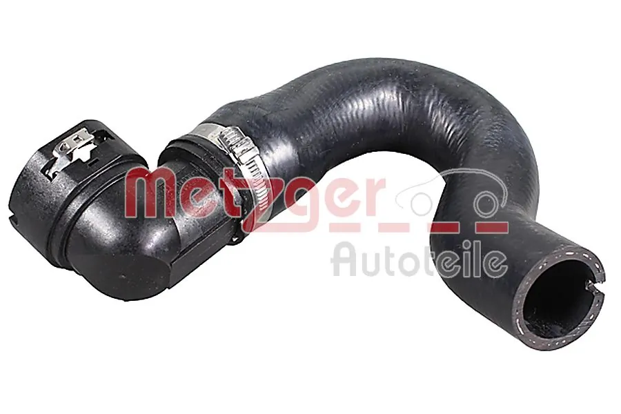 Radiator Hose 2421998