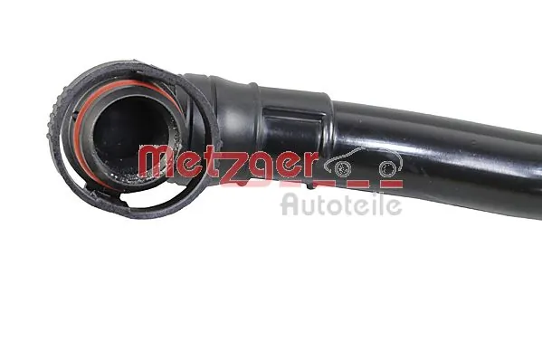 Hose, cylinder head cover ventilation 2380154