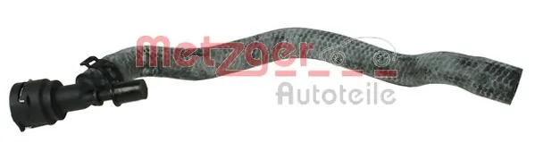 Radiator Hose 2420789