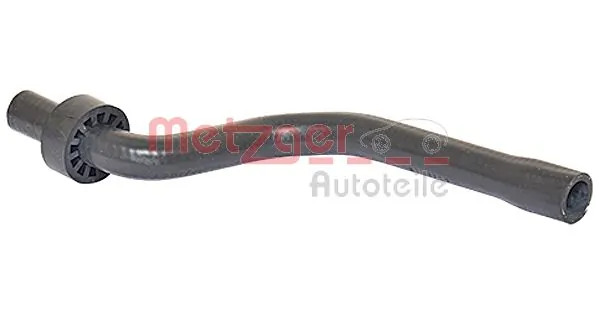 Radiator Hose 2420335