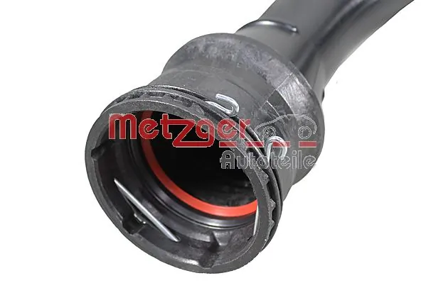 Charge Air Hose 2401036