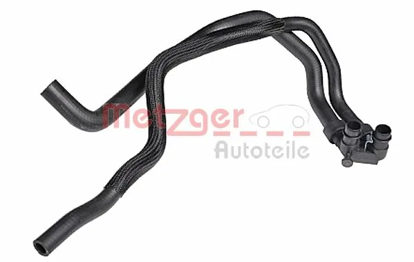 Radiator Hose 2420254