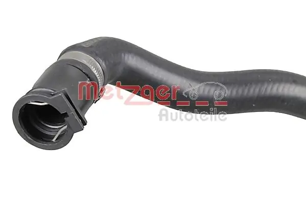 Radiator Hose 2421225