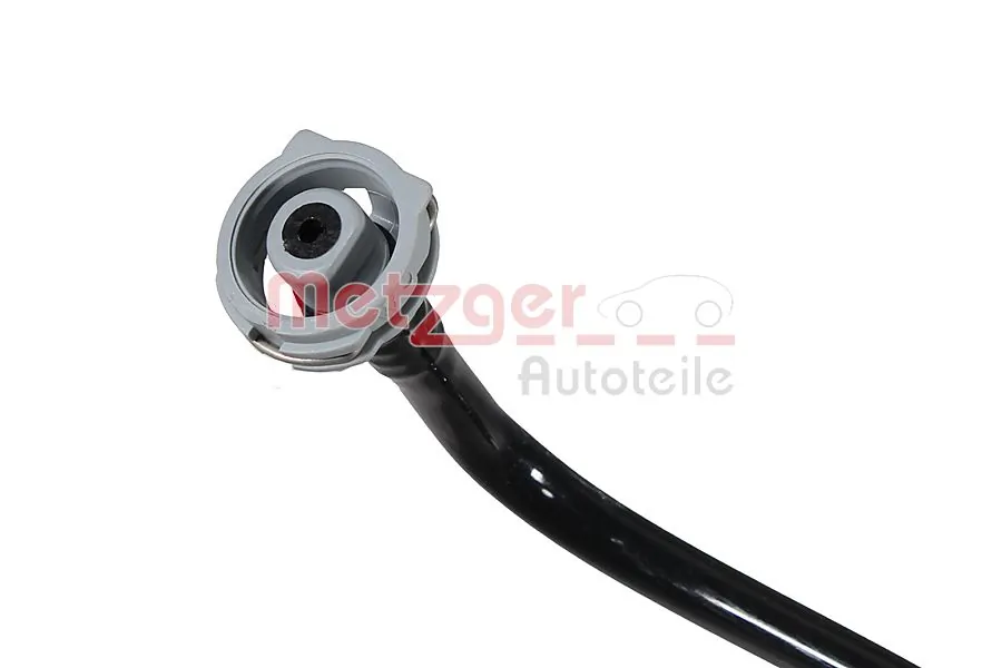 Radiator Hose 2421698