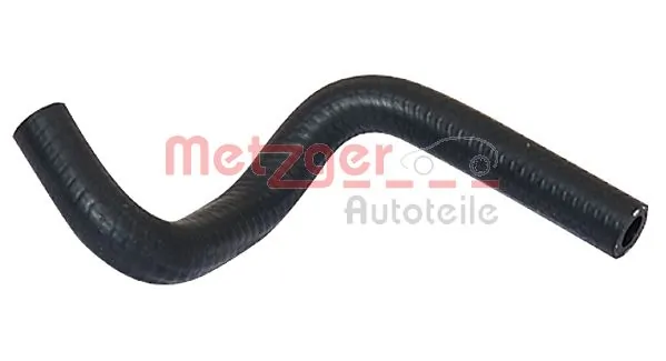 Radiator Hose 2420503