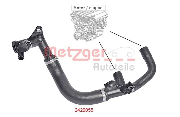 Radiator Hose 2420055