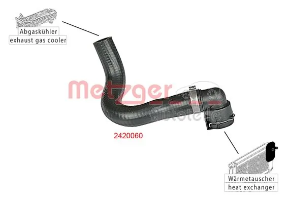 Radiator Hose 2420060
