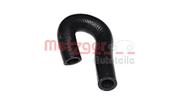 Radiator Hose 2420453