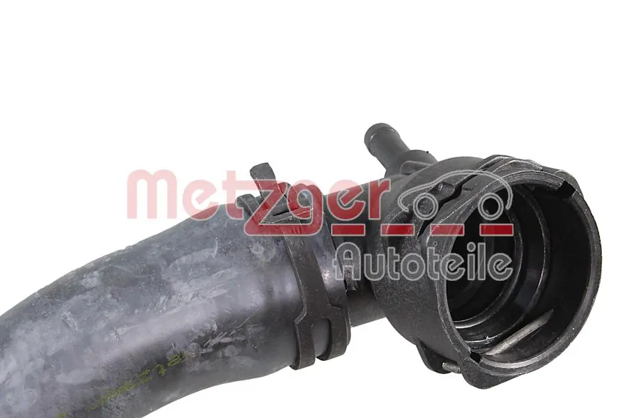 Radiator Hose 2421610