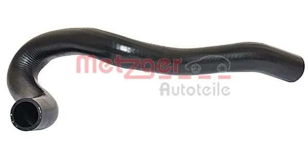 Radiator Hose 2420040