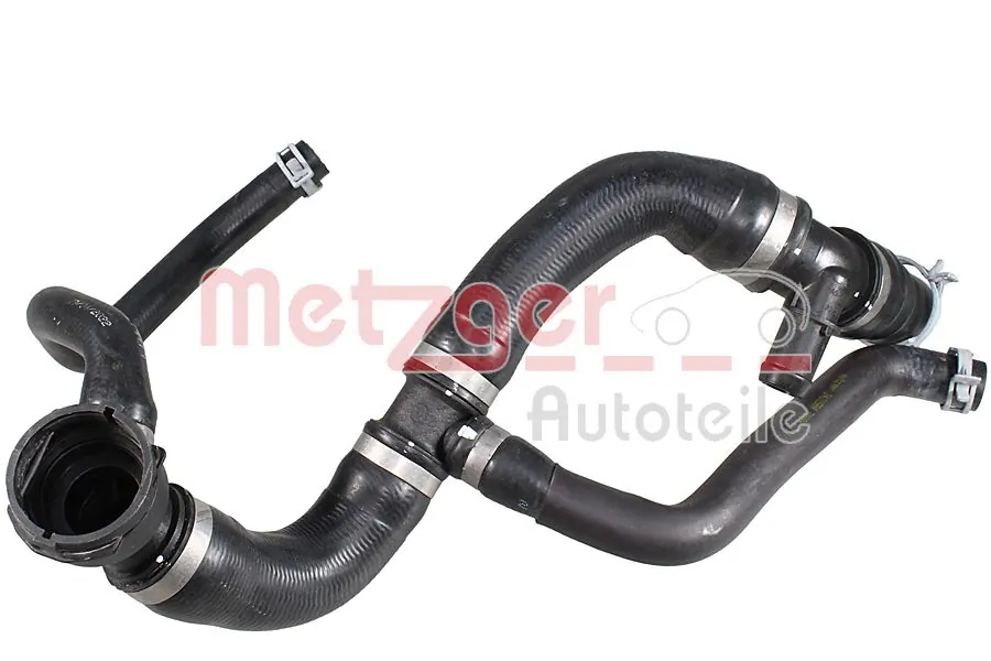 Radiator Hose 2421584