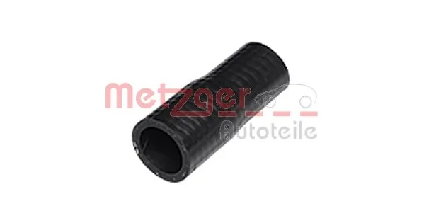 Radiator Hose 2420452