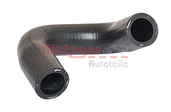 Radiator Hose 2420719