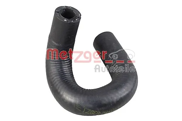 Radiator Hose 2421398