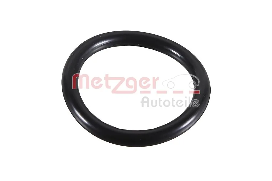 Seal Ring 2430108