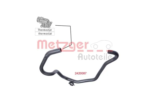Radiator Hose 2420087