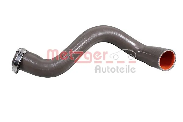 Charge Air Hose 2401034