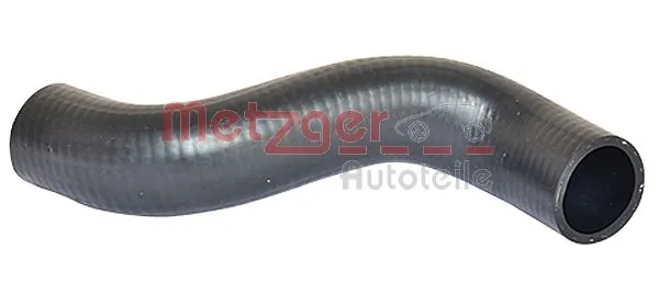 Radiator Hose 2420133