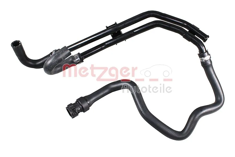 Radiator Hose 2420329