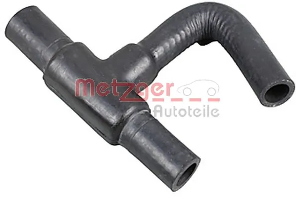 Radiator Hose 2421034