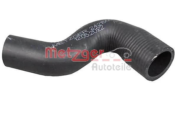 Radiator Hose 2421509