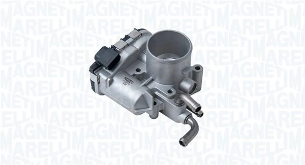 Throttle Body 802000000110