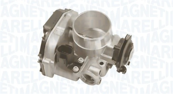 Throttle Body 802000000099