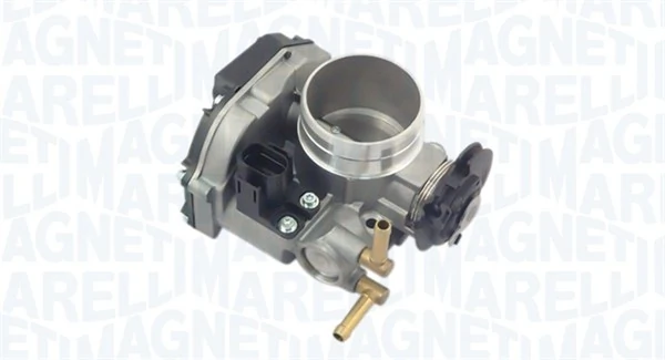 Throttle Body 802000000035